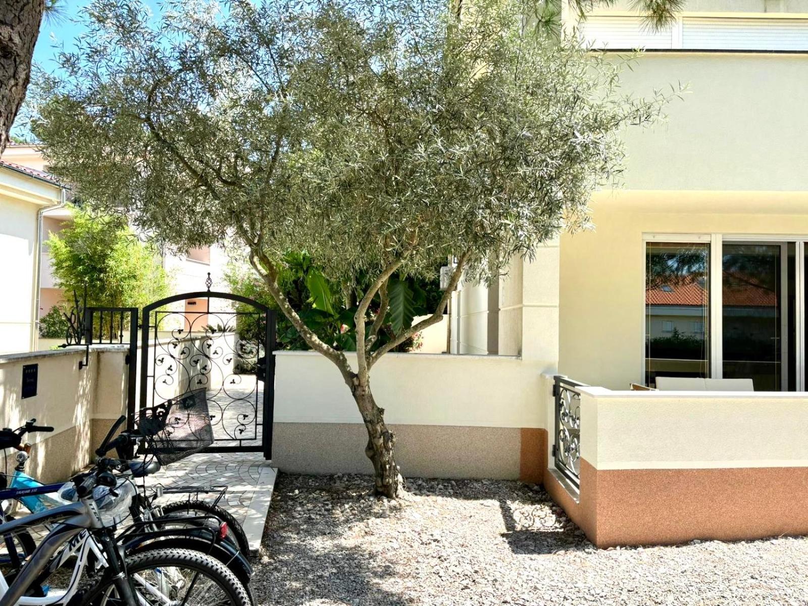 Apartment Delux 4 Stars Ariadne - 1 Min From *